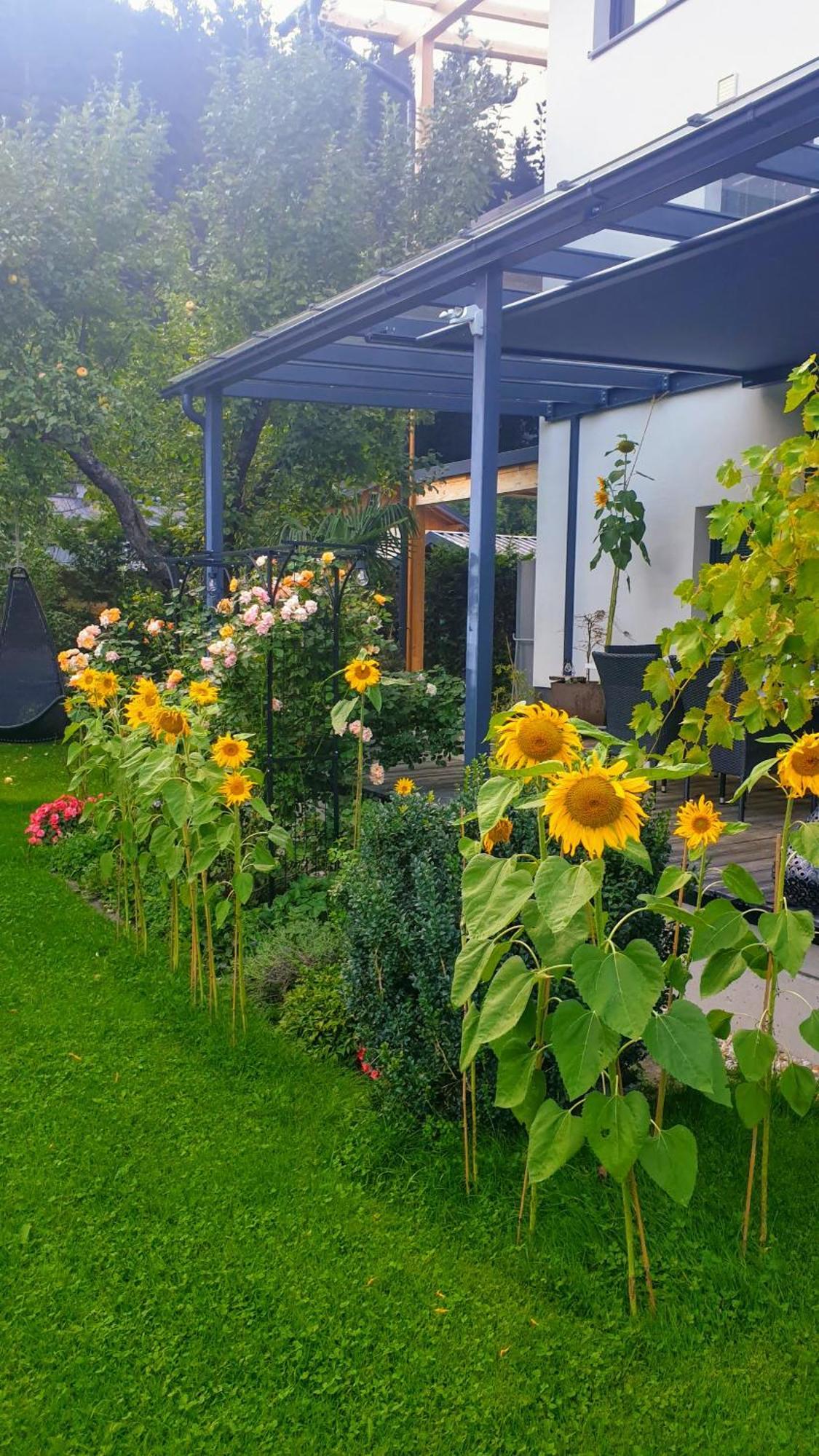 Jagd trifft Moderne&Boutique Jardin Ferienhaus Annaberg im Lammertal Exterior foto